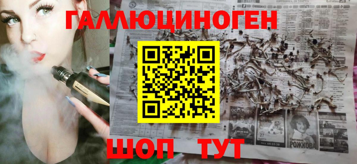 Галлюциногенные грибы Psilocybe Железногорск